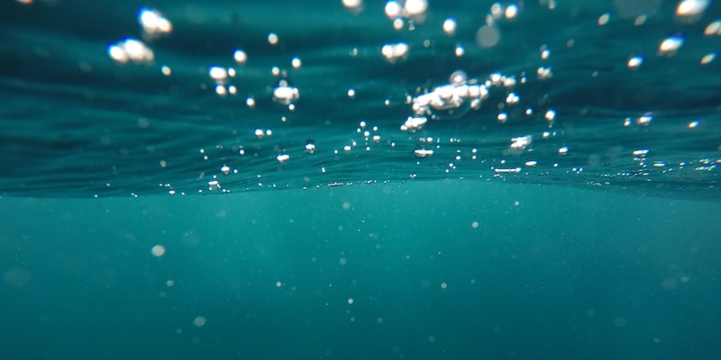 What abiotic factors are found in the ocean?